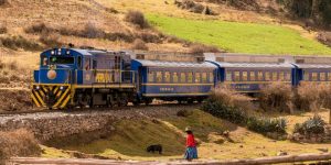 https://aluditravel.com/wp-content/uploads/2020/10/Train-of-Expeditions-Surprising-Peru-1-300x150.jpg